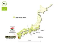 KEIKO Kabusecha Tenbu Fuka, 50 G Frischebeutel 8 KEIKO Kabusecha Tenbu Fuka, 50 G Frischebeutel – Bild 6