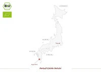 Kukicha Hatsukoi, Bio, Premium 7 Kukicha Hatsukoi, Bio, Premium – Bild 5