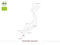 Matcha-Sencha Chowa, Bio, Super-Premium 6 Matcha-Sencha Chowa, Bio, Super-Premium – Bild 4