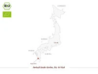 Sencha Kariban, Bio, 1st Flush, Premium 7 Sencha Kariban, Bio, 1st Flush, Premium – Bild 5