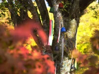 Windspiel, Furin Hamon Orange 8 Windspiel, Furin Hamon Orange – Bild 6